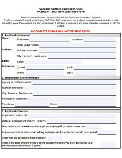 work experience form template