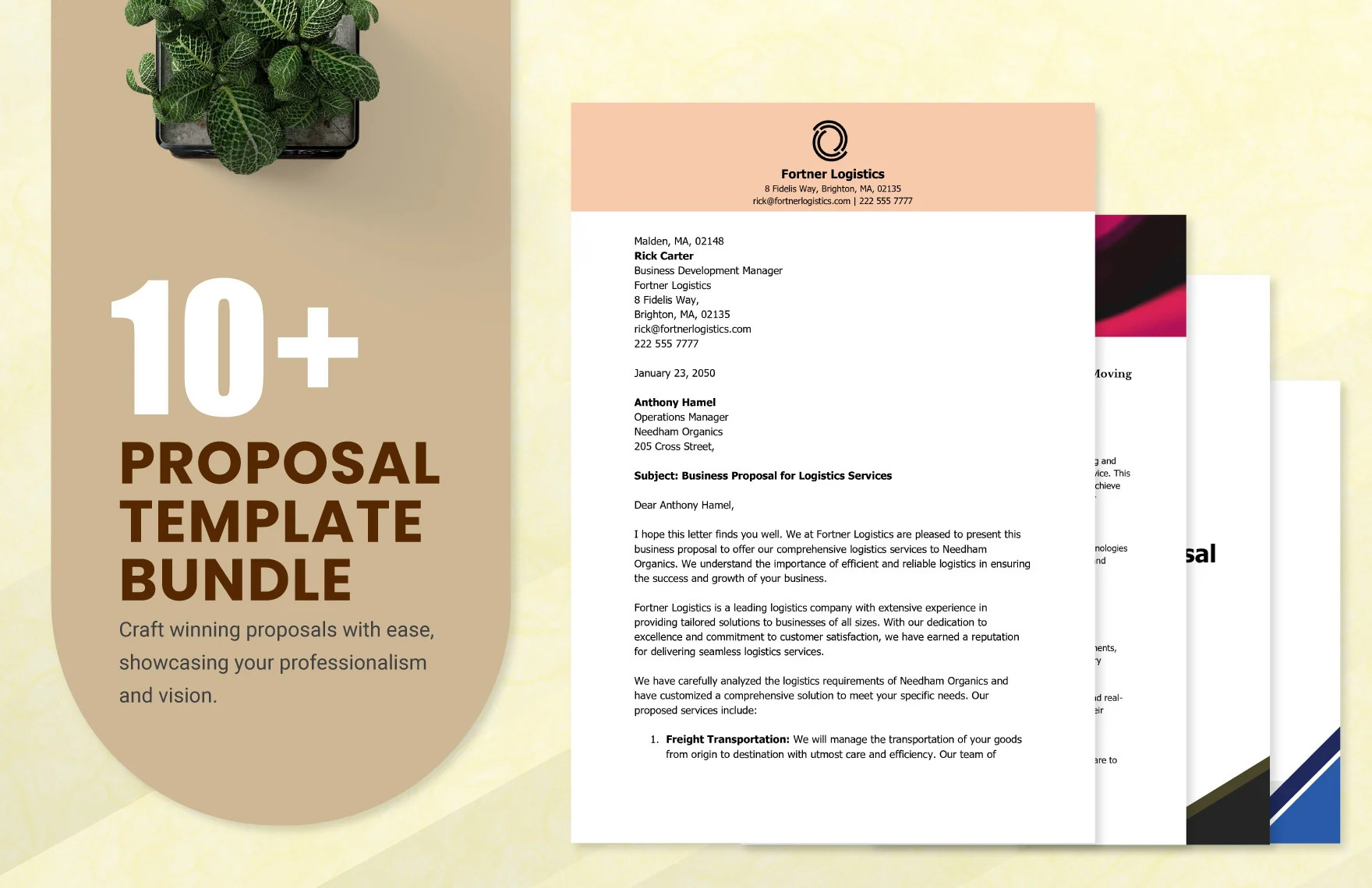 10 proposal template bundle