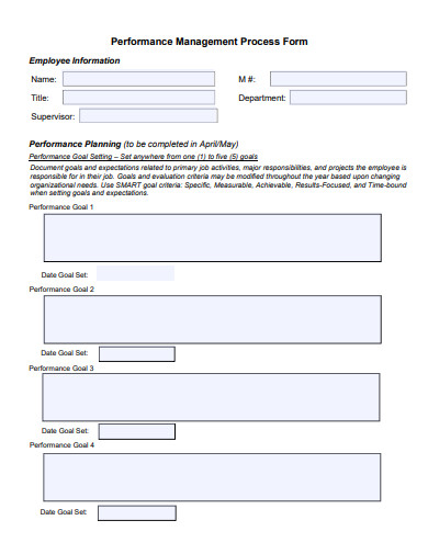performance management process form template