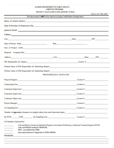 project managers report form template