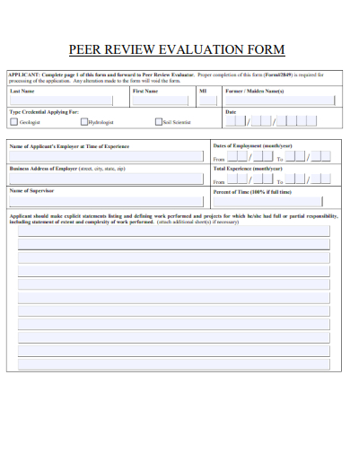 peer review evaluation form template
