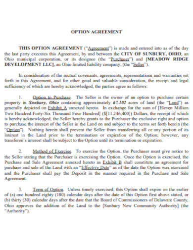sample property option agreement template