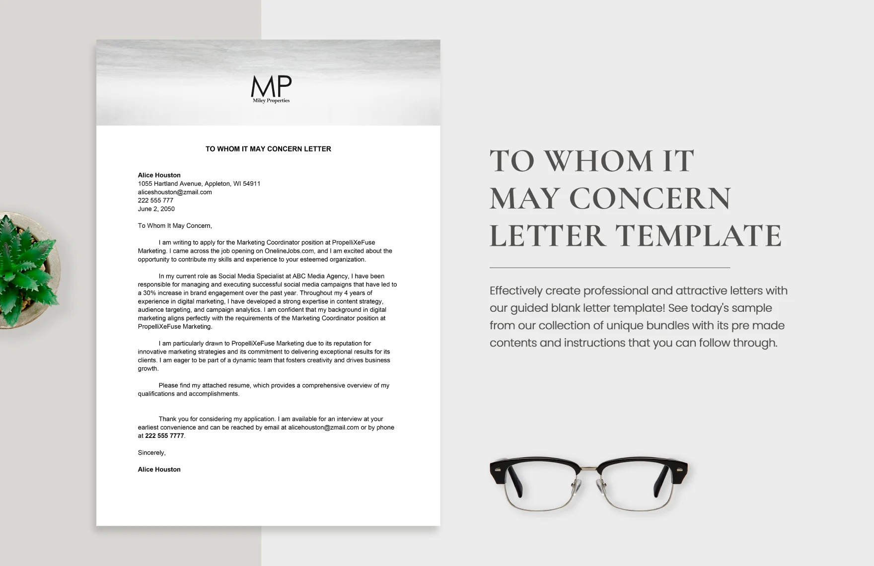 to whom it may concern letter template